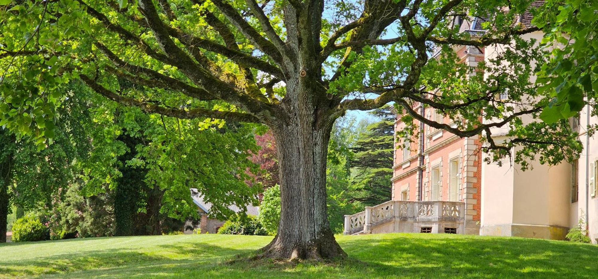 Chateau De Montpatey Bed & Breakfast Couches Dış mekan fotoğraf